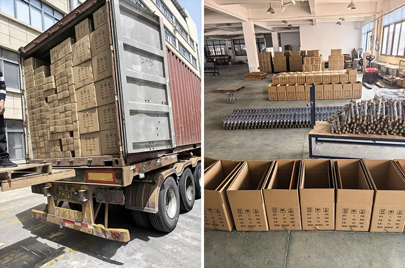 Sarah Electric Packaging and Shipment